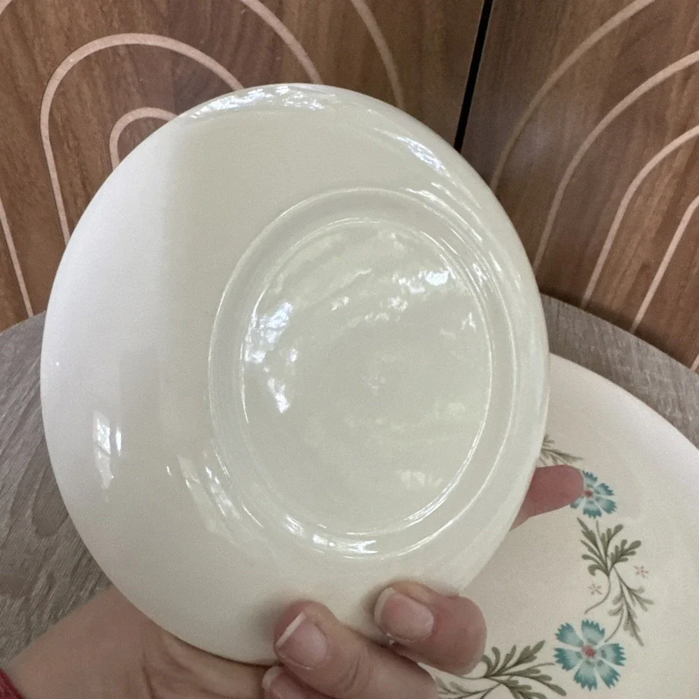 Taylor Smith & Taylor Dinner And Salad Plate Bridal Wreath Blue Flowers 10